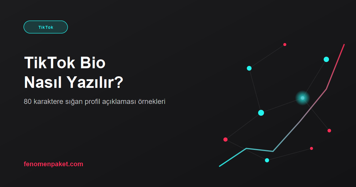 TikTok Bio Nasıl Yazılır? 80 Karaktere Sığan Profil Açıklaması Örnekleri